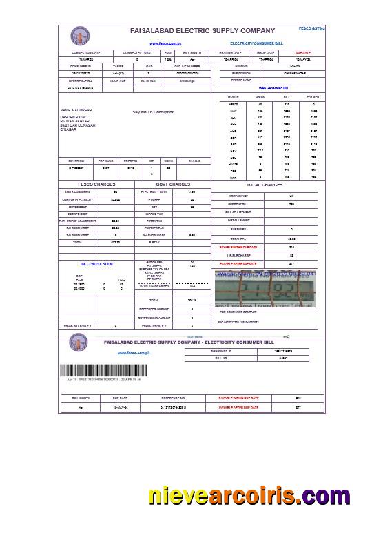PAKISTAN FAISALABAD business utility bill